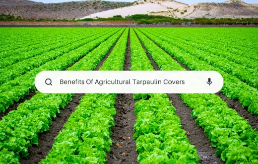 Agricultural Tarpaulin Covers: Unlocking Benefits for Agriculture