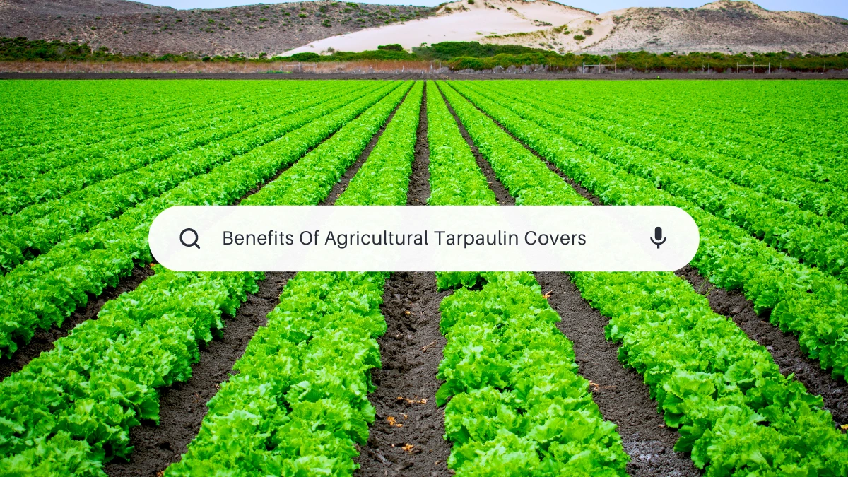 Agricultural Tarpaulin Covers: Unlocking Benefits for Agriculture