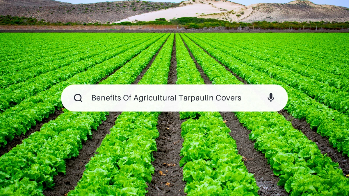 Internex Poly Agricultural Tarpaulin Covers: Unlocking Benefits for Agriculture ...